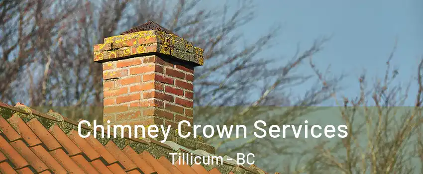  Chimney Crown Services Tillicum - BC