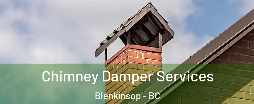  Chimney Damper Services Blenkinsop - BC