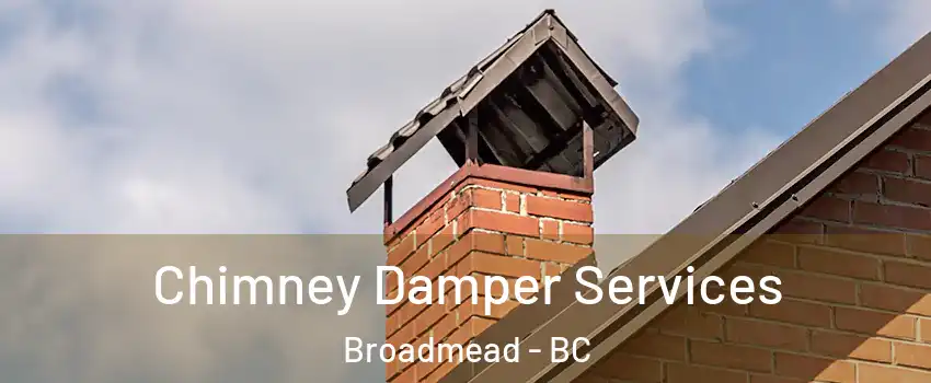 Chimney Damper Services Broadmead - BC