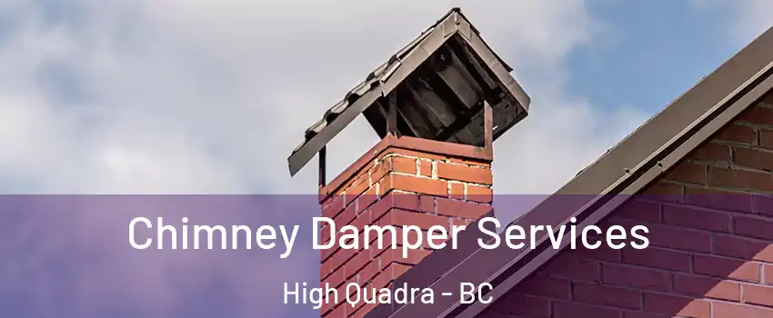 Chimney Damper Services High Quadra - BC