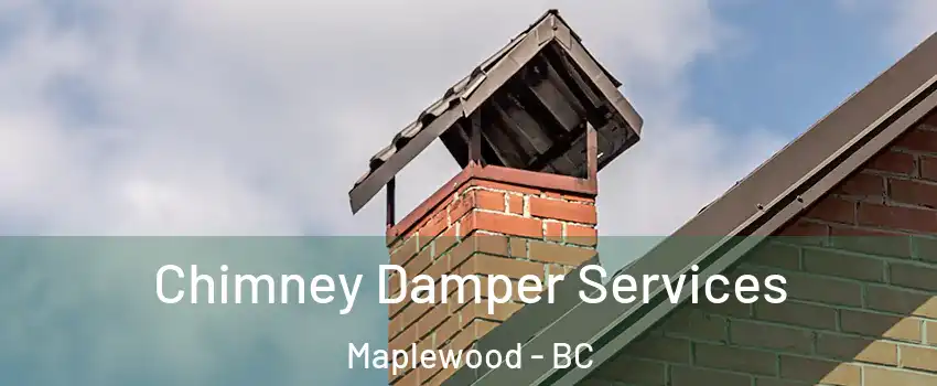 Chimney Damper Services Maplewood - BC