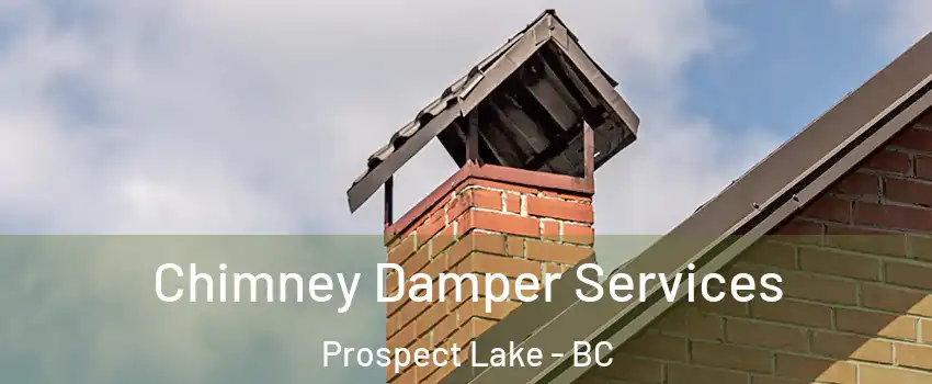  Chimney Damper Services Prospect Lake - BC