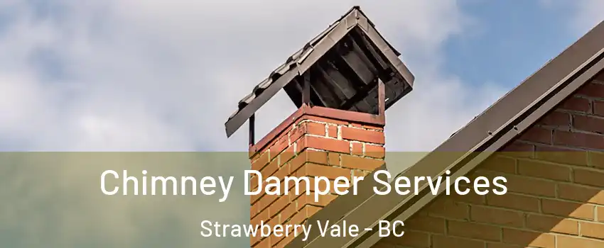  Chimney Damper Services Strawberry Vale - BC