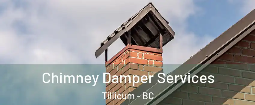  Chimney Damper Services Tillicum - BC