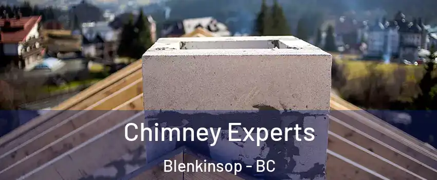  Chimney Experts Blenkinsop - BC