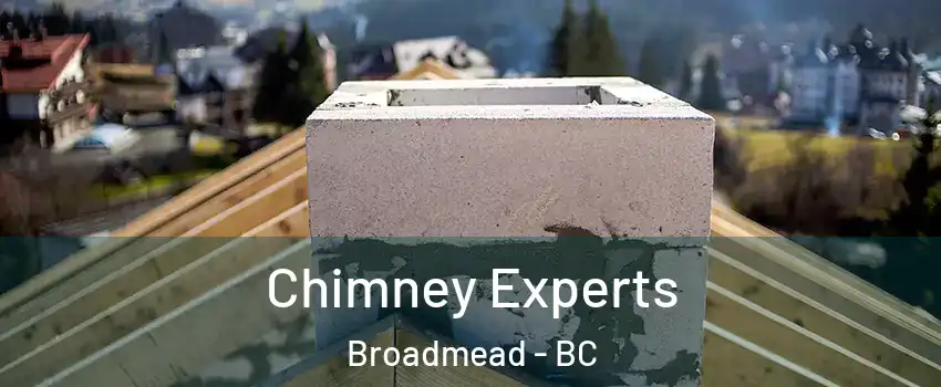  Chimney Experts Broadmead - BC