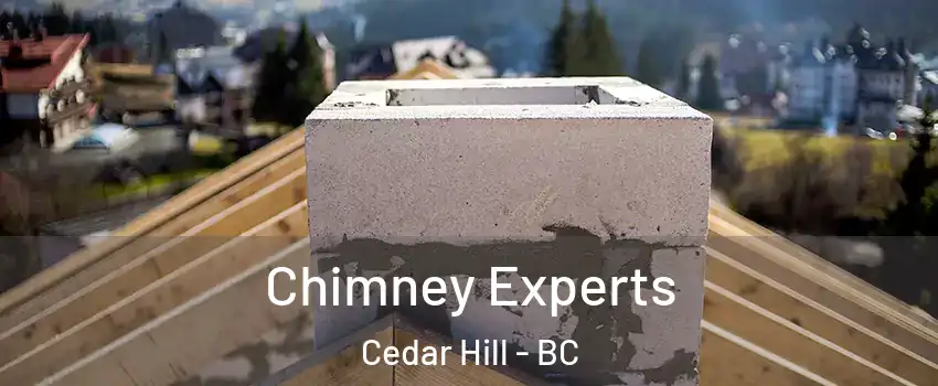  Chimney Experts Cedar Hill - BC
