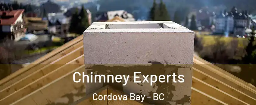  Chimney Experts Cordova Bay - BC