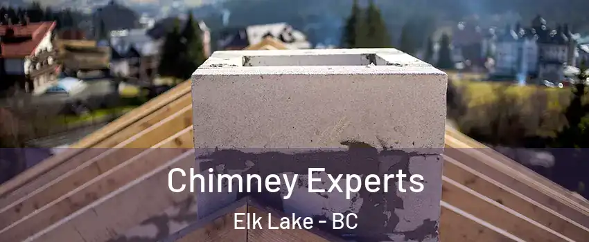  Chimney Experts Elk Lake - BC
