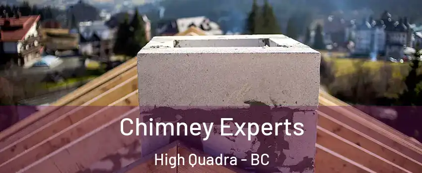  Chimney Experts High Quadra - BC