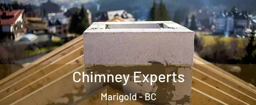 Chimney Experts Marigold - BC