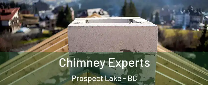  Chimney Experts Prospect Lake - BC