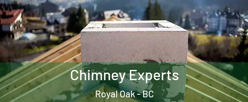  Chimney Experts Royal Oak - BC