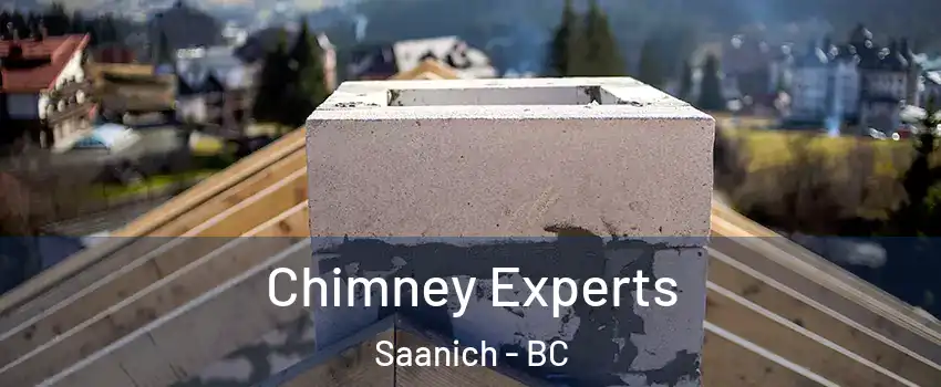  Chimney Experts Saanich - BC
