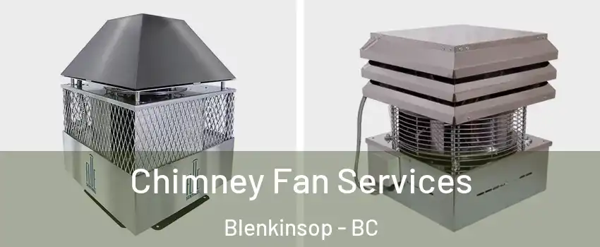  Chimney Fan Services Blenkinsop - BC