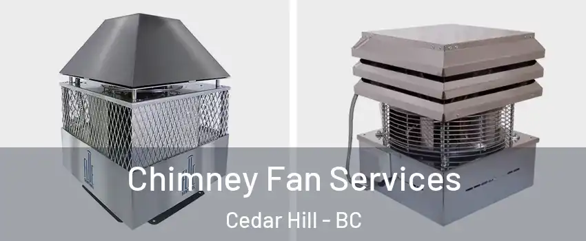  Chimney Fan Services Cedar Hill - BC
