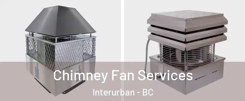  Chimney Fan Services Interurban - BC