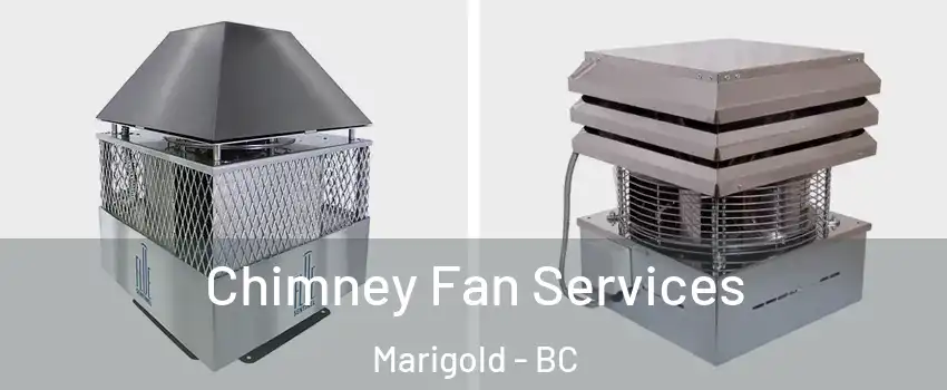  Chimney Fan Services Marigold - BC