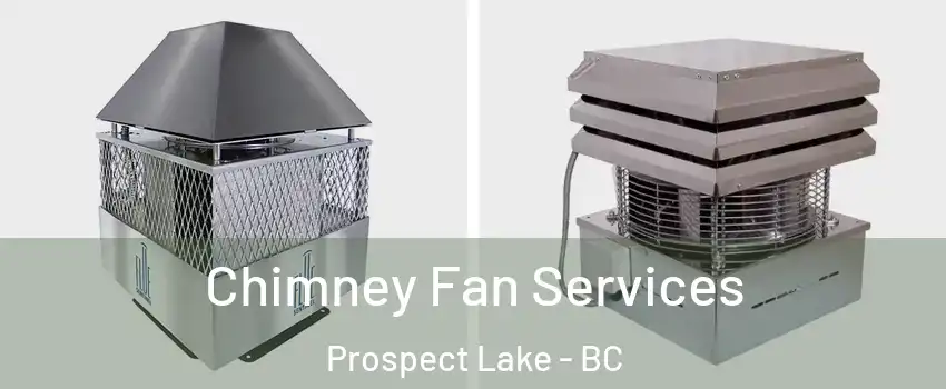  Chimney Fan Services Prospect Lake - BC
