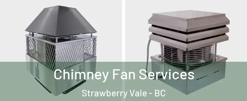  Chimney Fan Services Strawberry Vale - BC