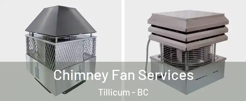  Chimney Fan Services Tillicum - BC