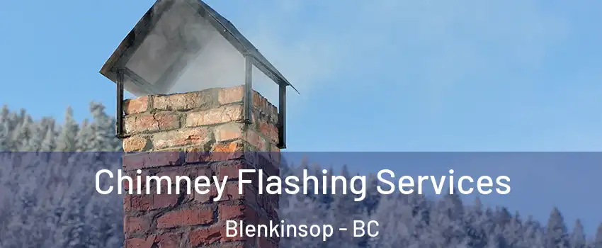  Chimney Flashing Services Blenkinsop - BC