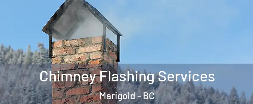 Chimney Flashing Services Marigold - BC