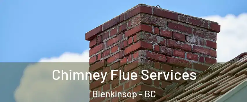  Chimney Flue Services Blenkinsop - BC