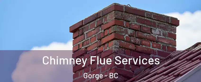  Chimney Flue Services Gorge - BC