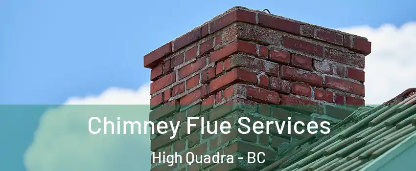 Chimney Flue Services High Quadra - BC