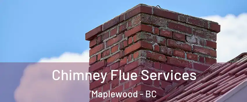 Chimney Flue Services Maplewood - BC