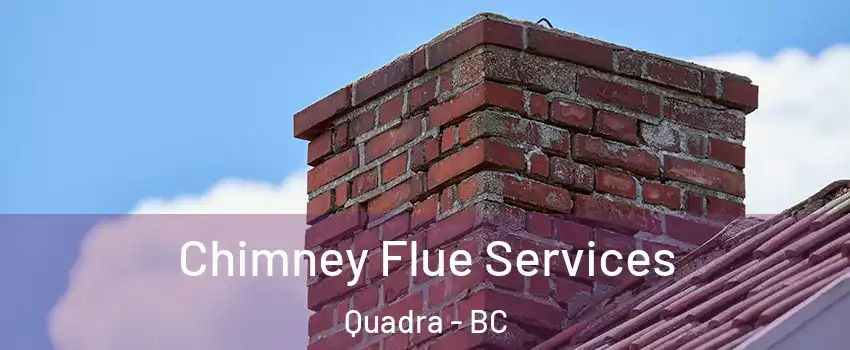  Chimney Flue Services Quadra - BC