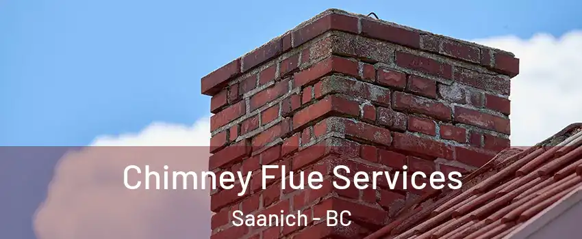  Chimney Flue Services Saanich - BC