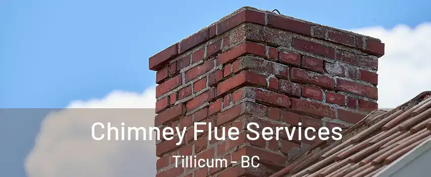  Chimney Flue Services Tillicum - BC