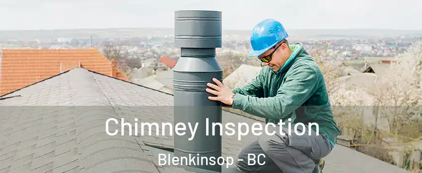  Chimney Inspection Blenkinsop - BC