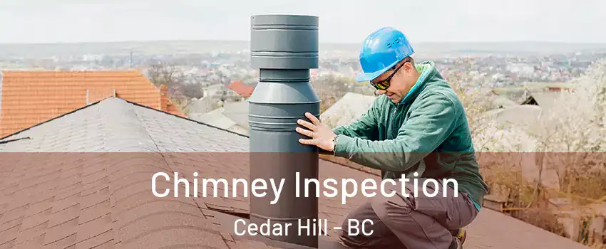  Chimney Inspection Cedar Hill - BC