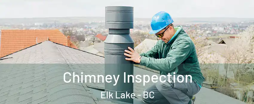  Chimney Inspection Elk Lake - BC