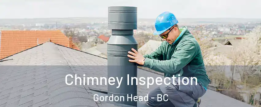 Chimney Inspection Gordon Head - BC