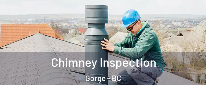  Chimney Inspection Gorge - BC