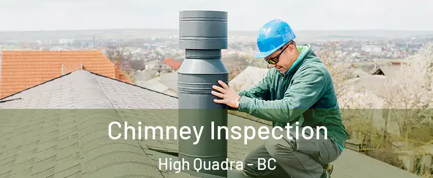 Chimney Inspection High Quadra - BC