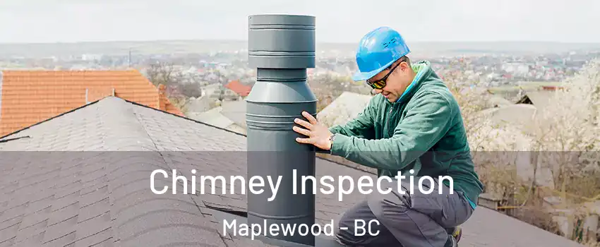  Chimney Inspection Maplewood - BC