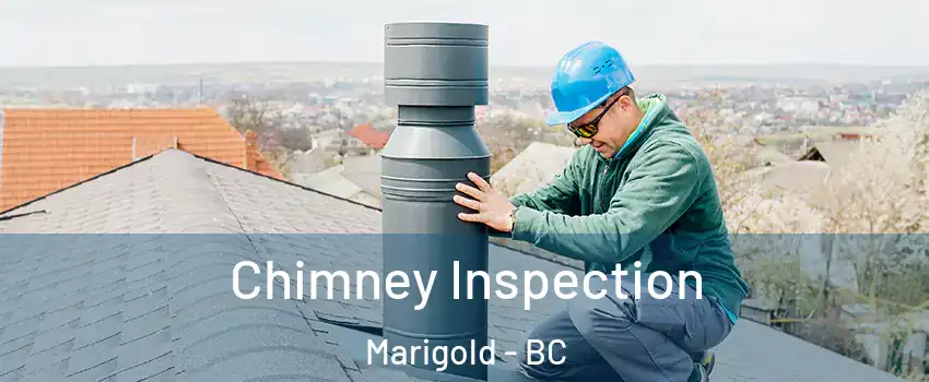  Chimney Inspection Marigold - BC