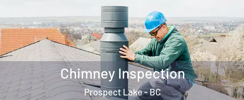  Chimney Inspection Prospect Lake - BC