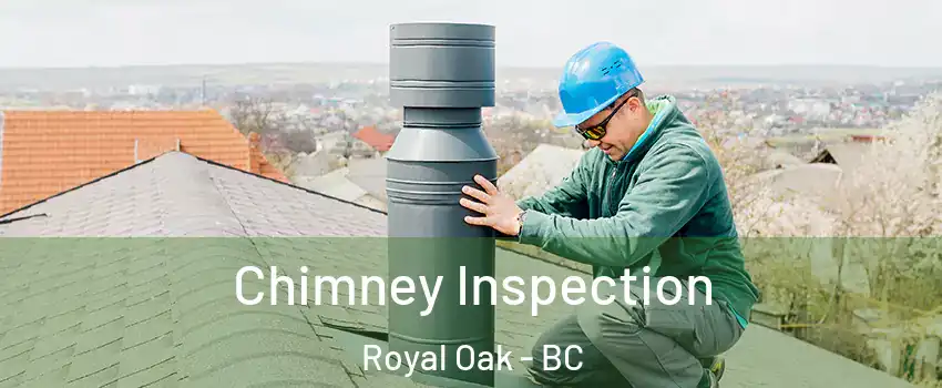  Chimney Inspection Royal Oak - BC