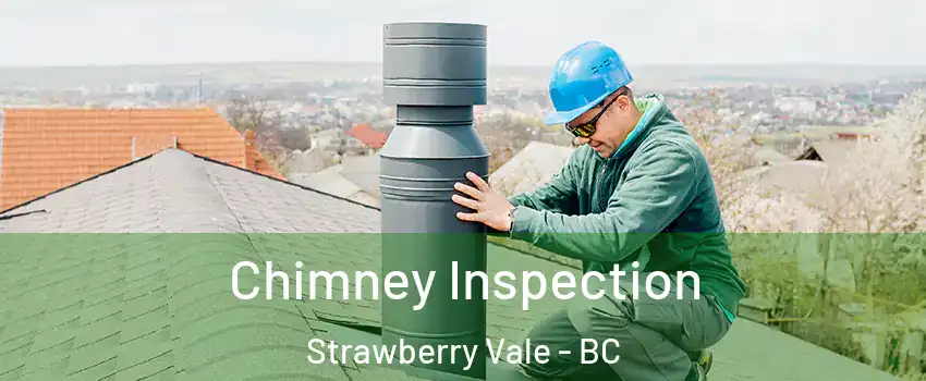 Chimney Inspection Strawberry Vale - BC