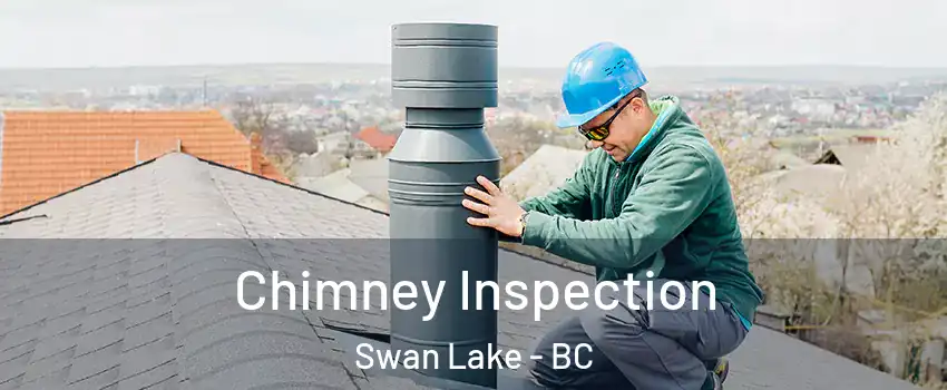  Chimney Inspection Swan Lake - BC