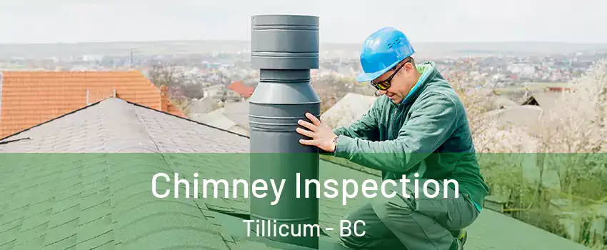  Chimney Inspection Tillicum - BC