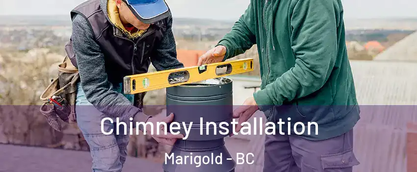 Chimney Installation Marigold - BC