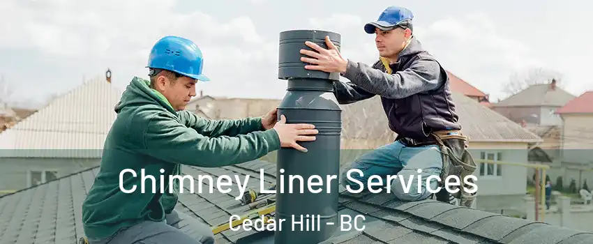 Chimney Liner Services Cedar Hill - BC