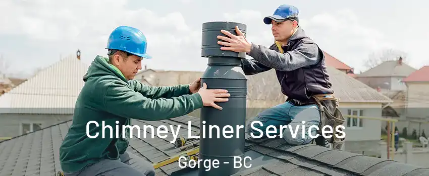  Chimney Liner Services Gorge - BC
